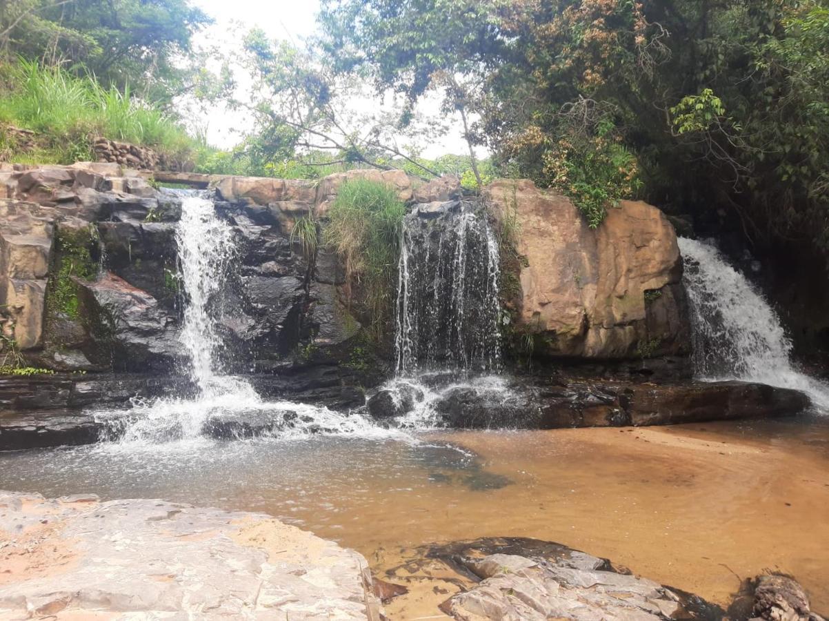 Chacara Recanto Do Rei Muito Verde E Ar Puro. Sao Roque  Luaran gambar